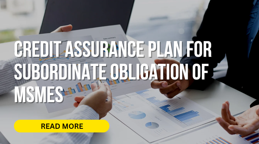 Credit Assurance Plan for Subordinate Obligation of MSMEs